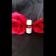 Superbond 10ml